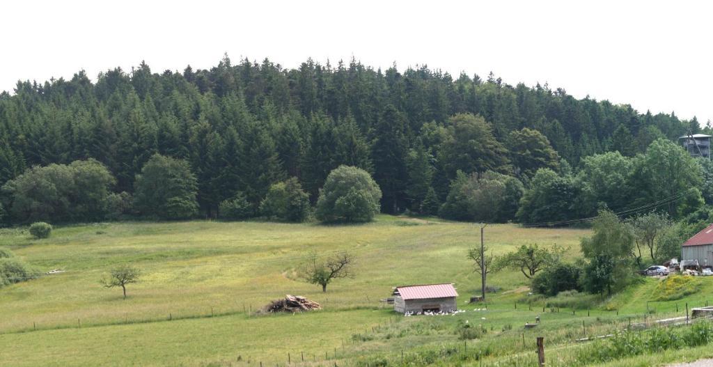 Gites Du Kreuzweg ル・ホーヴァルト エクステリア 写真