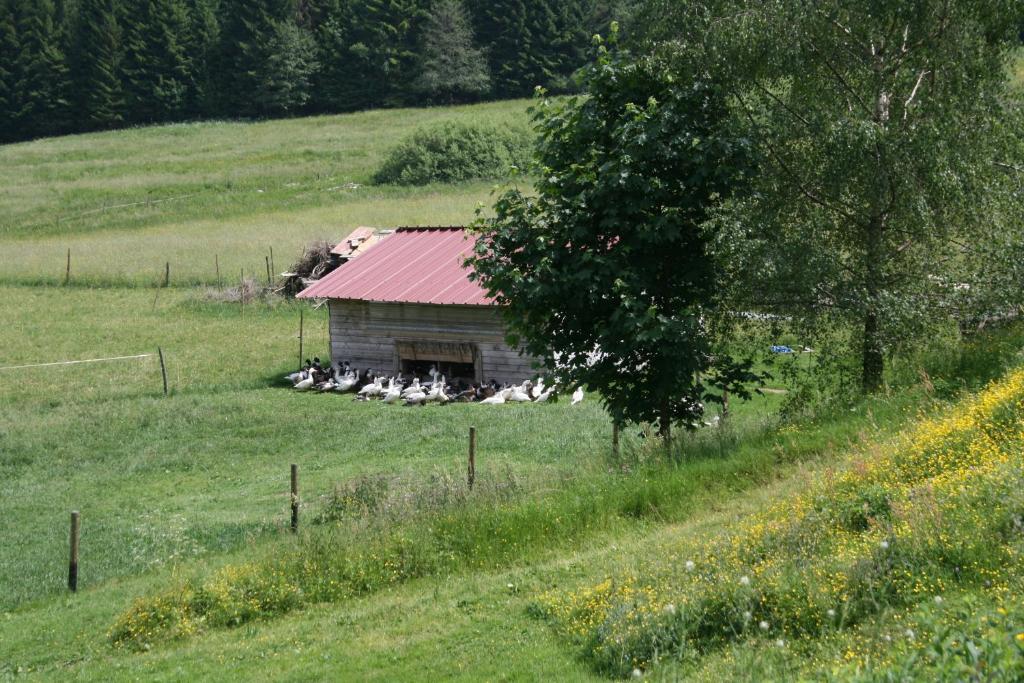 Gites Du Kreuzweg ル・ホーヴァルト エクステリア 写真